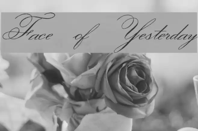 Face of Yesterday Font examples