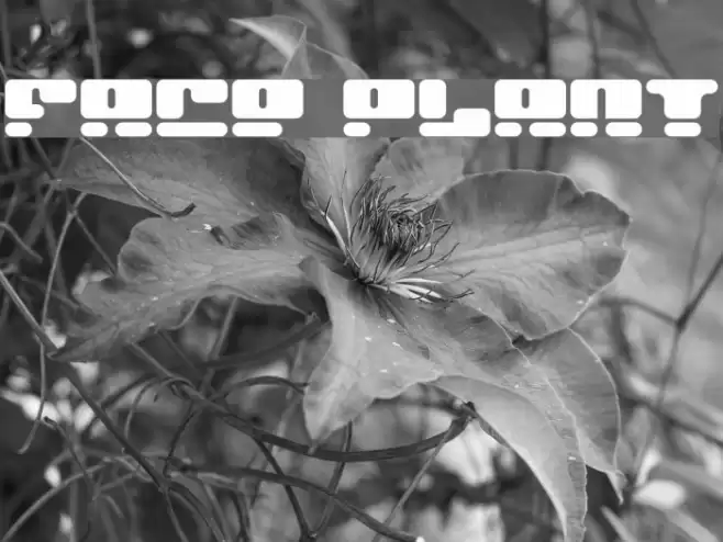 Face plant Font examples