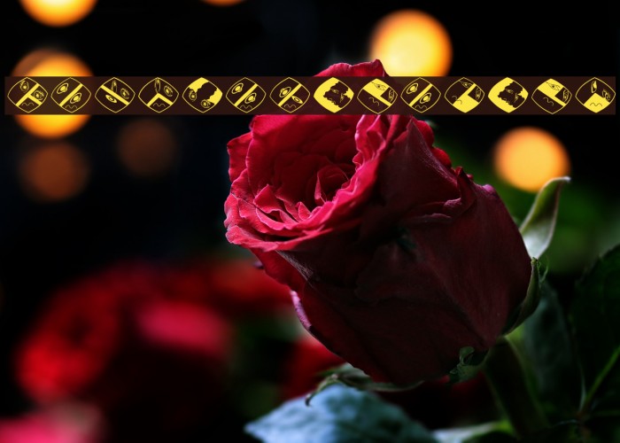 FaceLaboratory Font examples