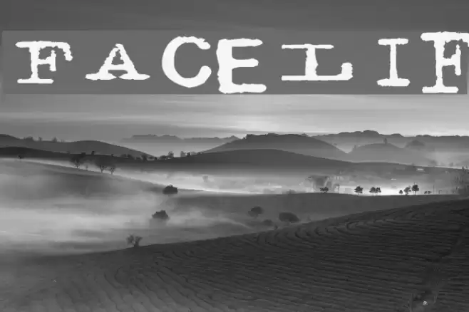 Facelift Font examples