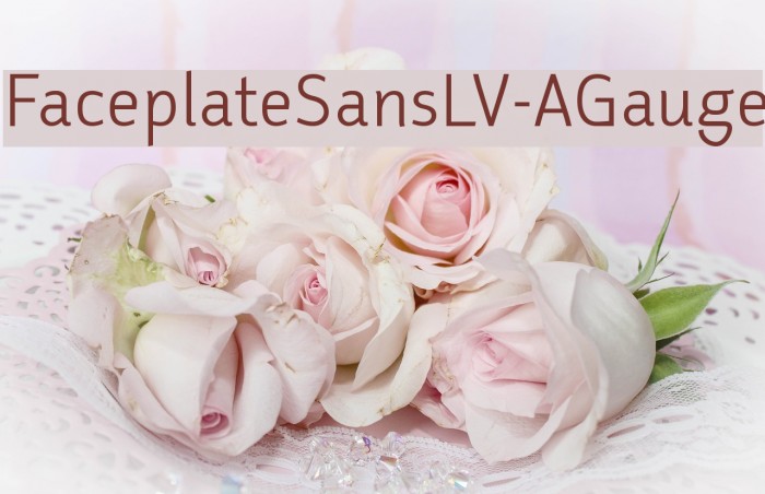 FaceplateSansLV-AGauge Font examples