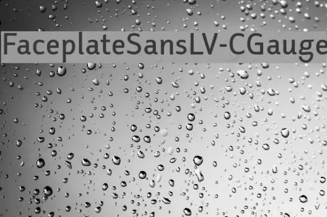 FaceplateSansLV-CGauge Font examples