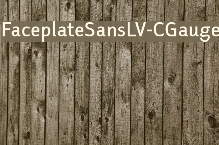 FaceplateSansLV-CGauge Font examples