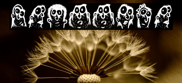 Faces Regular Example 1