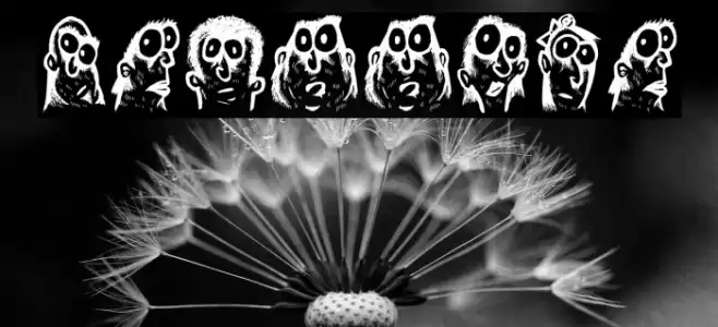 Faces Regular Font examples