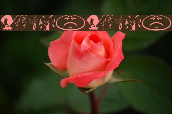 Faces2Faces Font examples