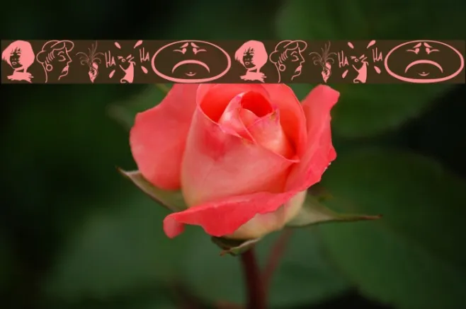 Faces2Faces Example 3