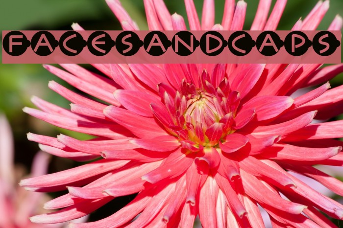 FacesAndCaps Font examples