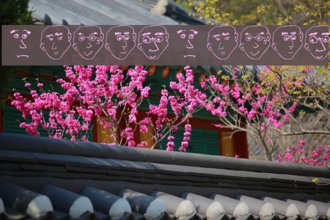 FacesFaces Example 3