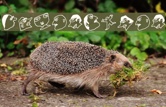 FacesTypes Example 3