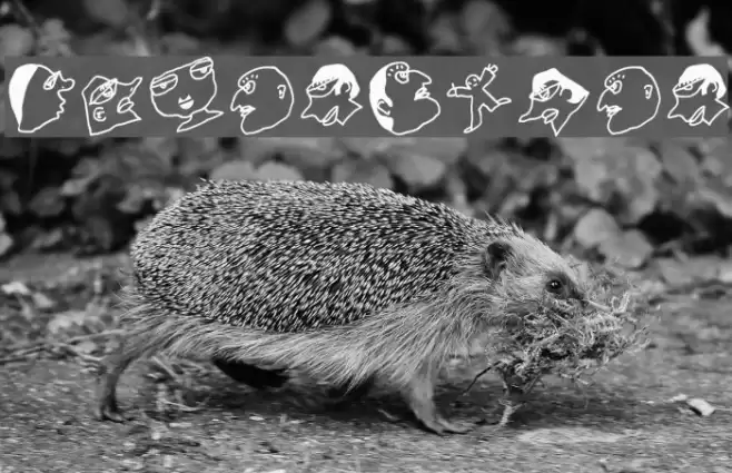 FacesTypes Font examples