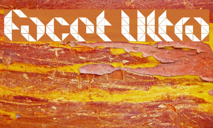 Facet Ultra Font examples