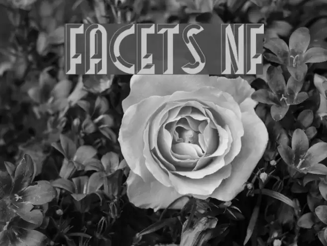 Facets NF Font examples