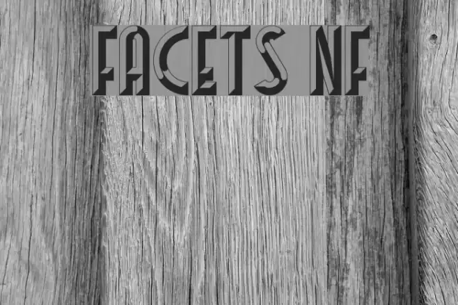 Facets NF Font examples