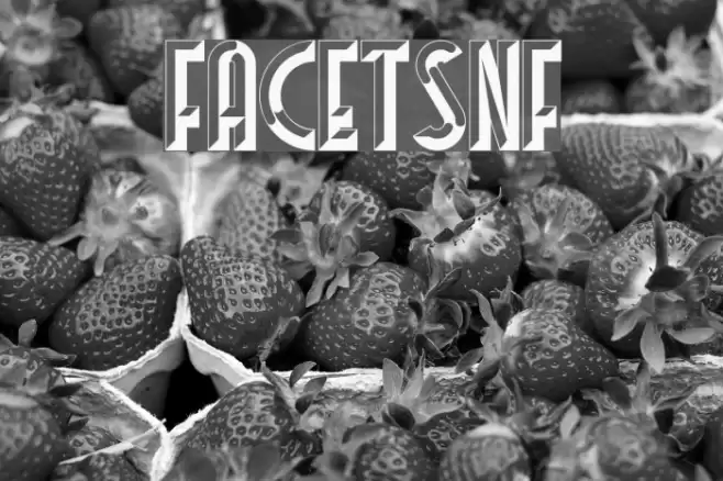 FacetsNF Font examples