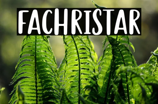 Fachristar Example 2