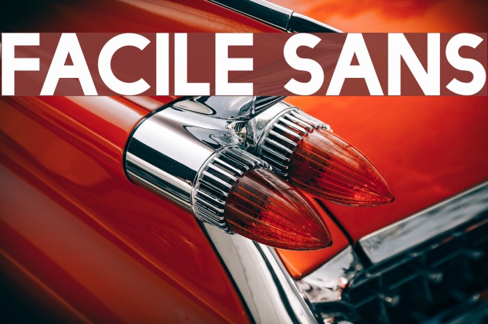 Facile Sans Font examples