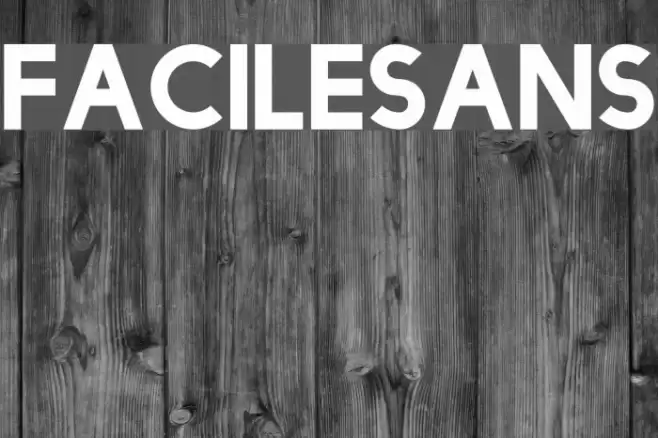 FacileSans Font examples