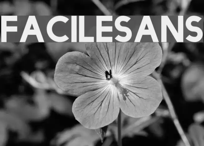 FacileSans Font examples