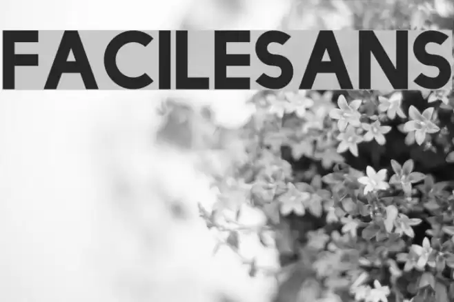 FacileSans Font examples