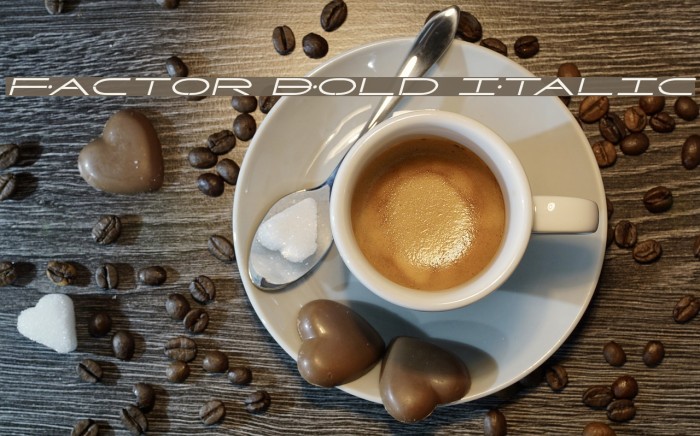 Factor Bold Italic Example 1