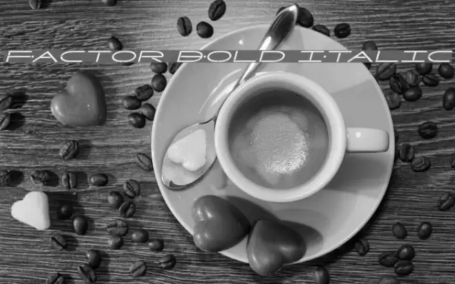 Factor Bold Italic Font examples