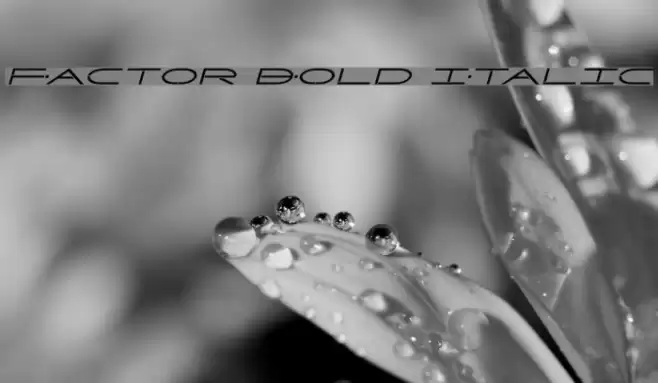 Factor Bold Italic Font examples