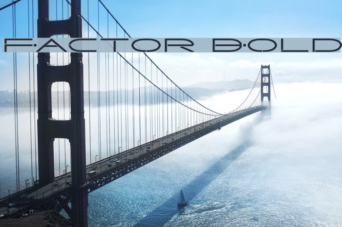 Factor Bold Example 2