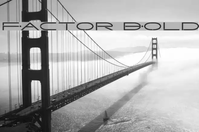 Factor Bold Font examples
