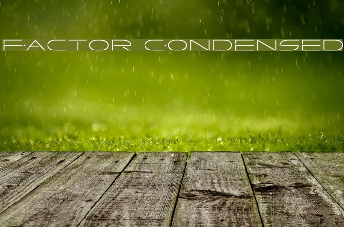 Factor Condensed Font examples