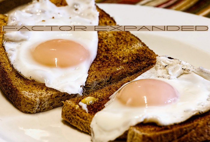 Factor Expanded Example 1