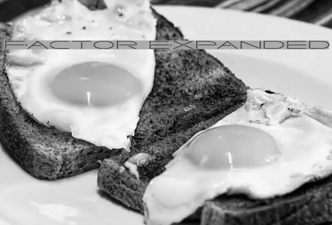 Factor Expanded Font examples