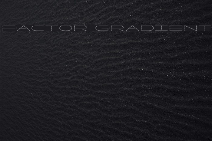 Factor Gradient Example 1