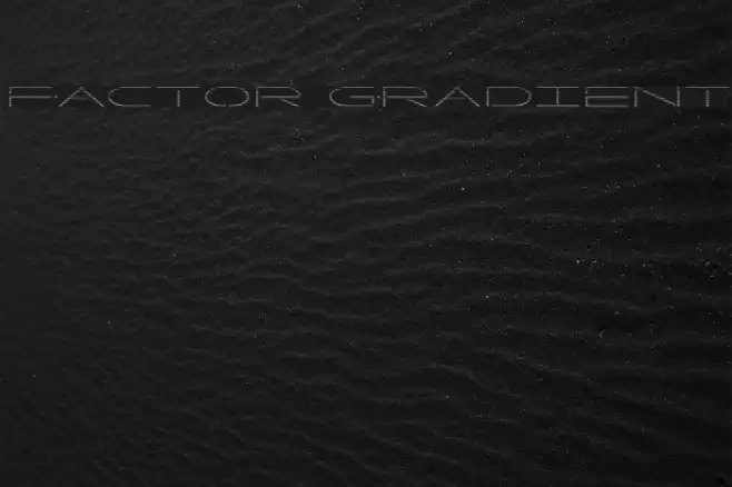 Factor Gradient Font examples