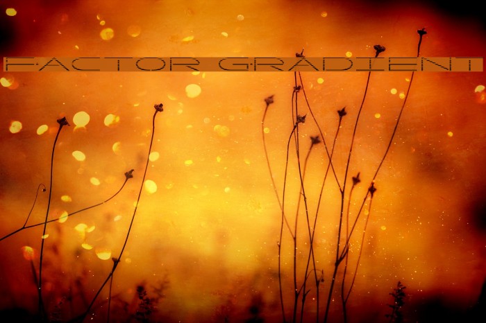 Factor Gradient Example 3