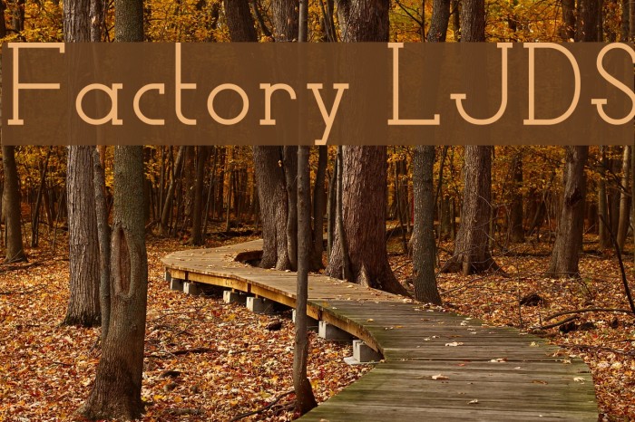 Factory LJDS Font examples