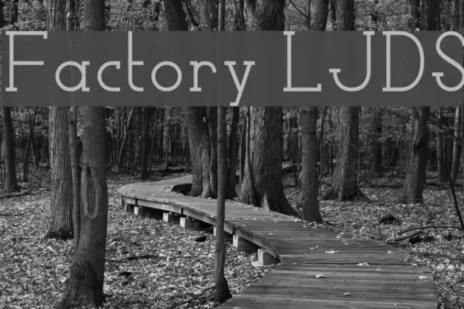 Factory LJDS Font examples