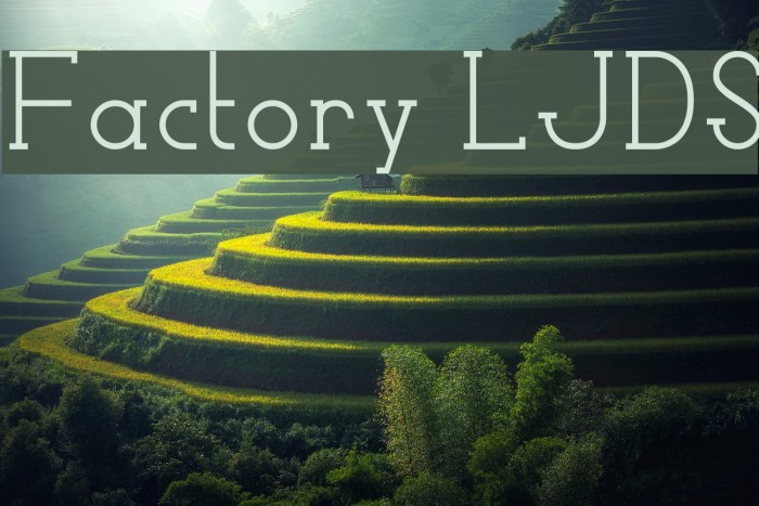 Factory LJDS Font examples