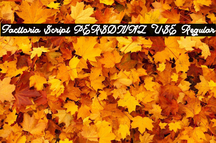 Facttoria Script PERSONAL USE Regular Example 1
