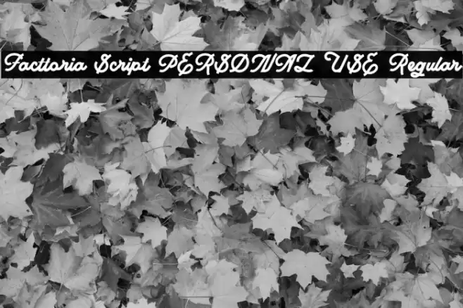 Facttoria Script PERSONAL USE Regular Font examples