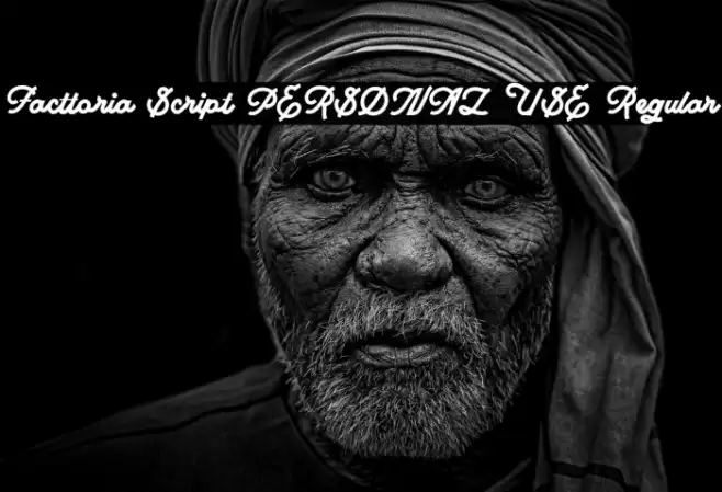 Facttoria Script PERSONAL USE Regular Font examples