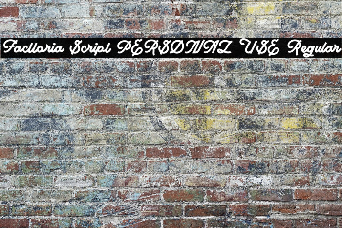 Facttoria Script PERSONAL USE Regular Example 3