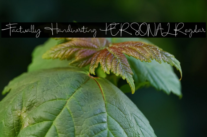 Factually Handwriting PERSONAL Regular Example 1