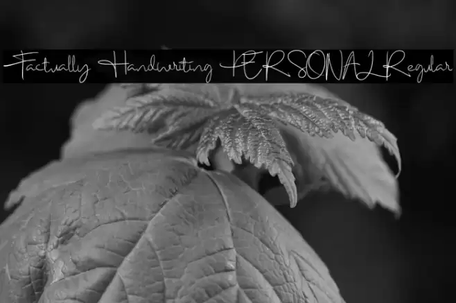 Factually Handwriting PERSONAL Regular Font examples
