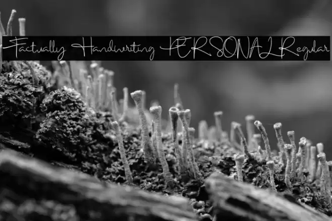 Factually Handwriting PERSONAL Regular Font examples