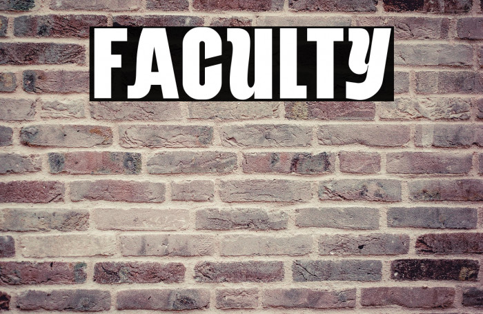 Faculty Example 1