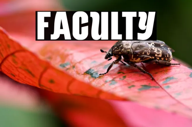 Faculty Example 2