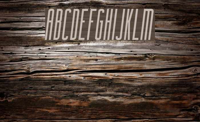 FacundaAlternate-Italic Font examples