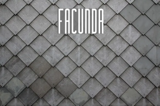 Facunda Example 1