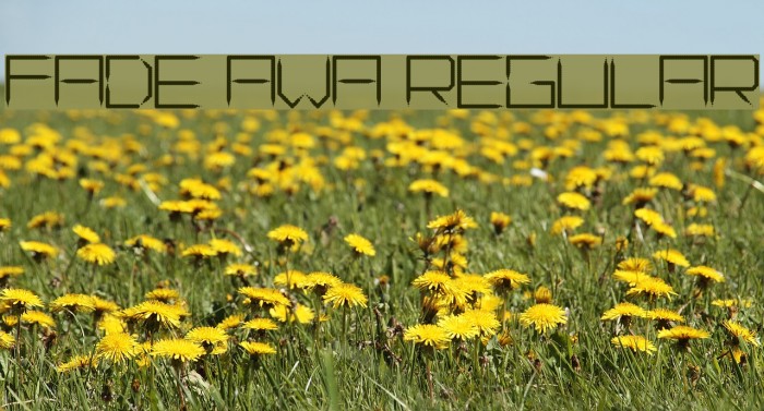 Fade Away Regular Font examples